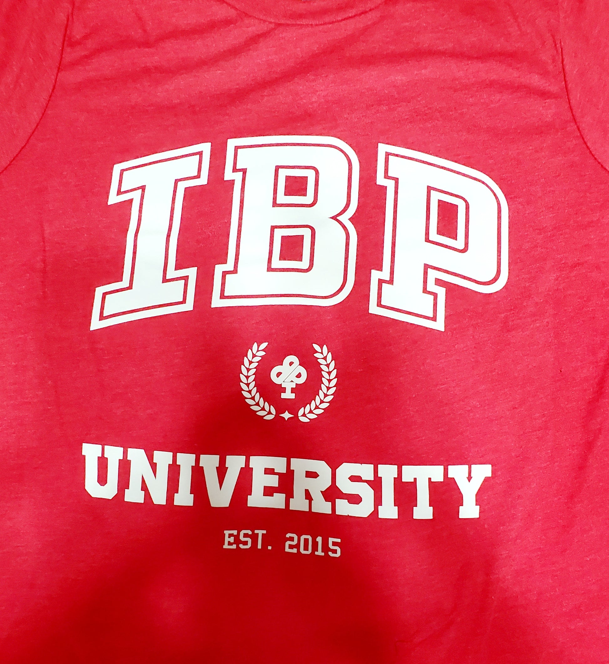 IBP UNIVERSITY - Premium MAROON T-Shirt (Youth are red) – Ireland